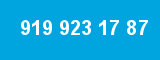 919 923 17 87